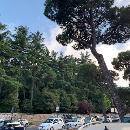 Roma Amor 396 Kültér fotó