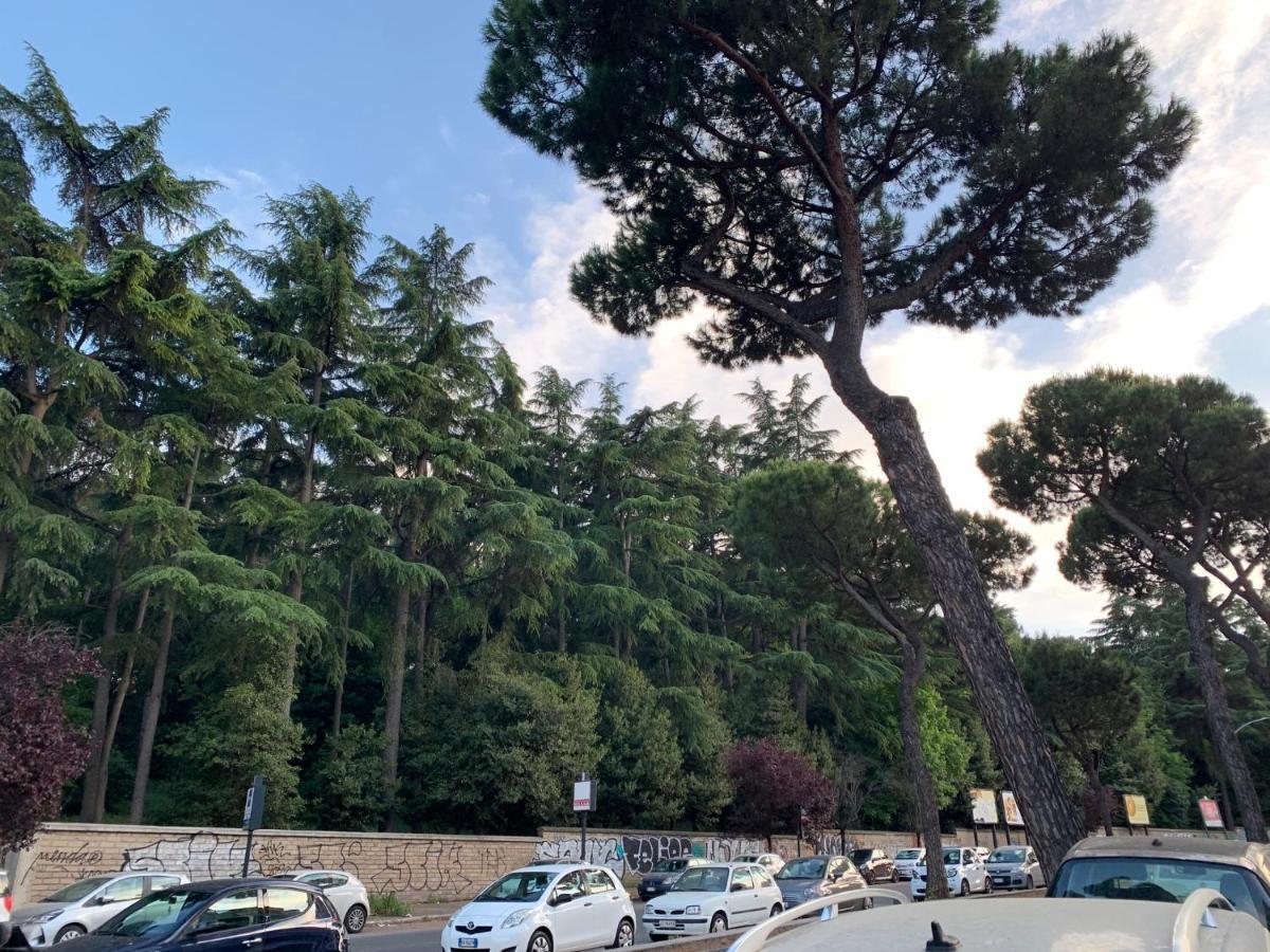 Roma Amor 396 Kültér fotó